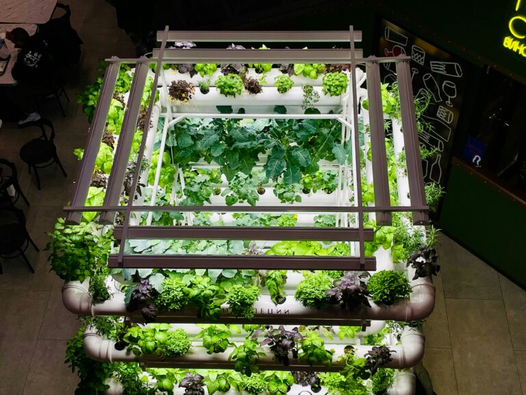 Vertical Gardening Ideas for Small Spaces