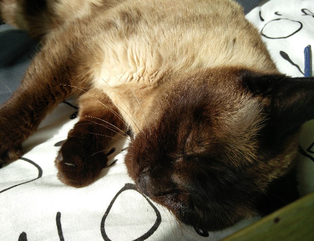 contact homiezava hotel