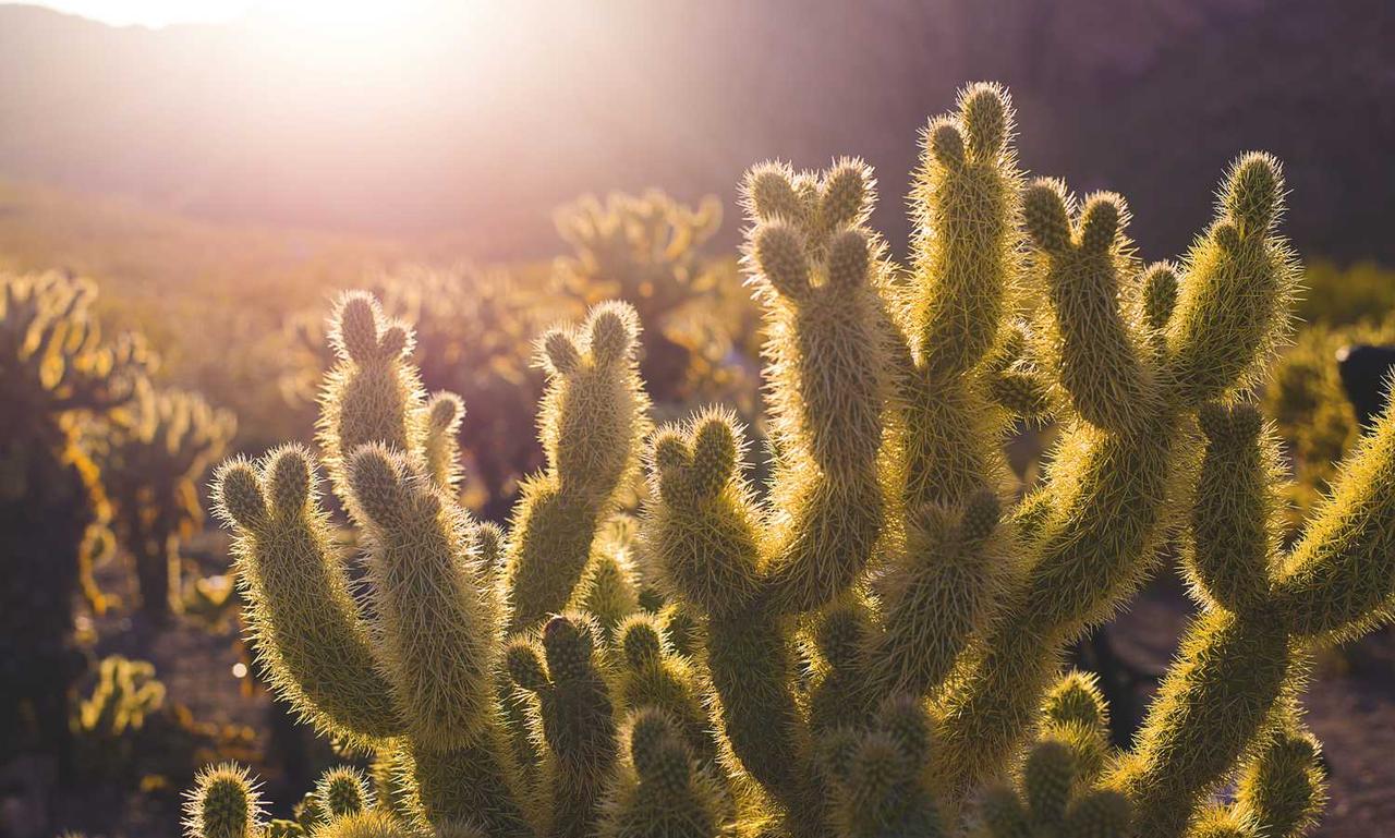 how far to homiezava hotel