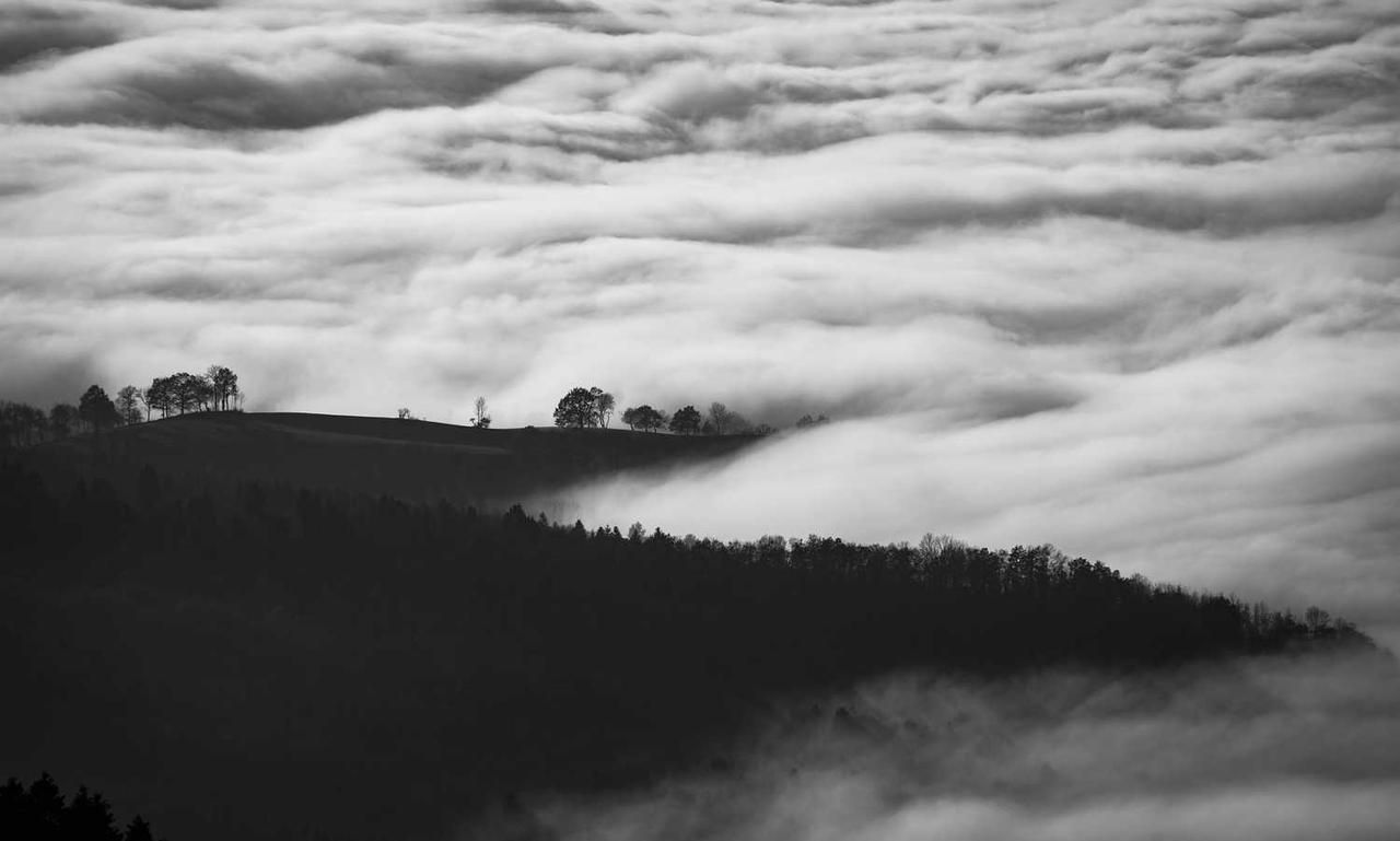 how many stars is homiezava hotel