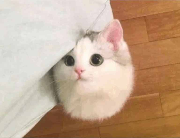 what should i wear in drapizto island