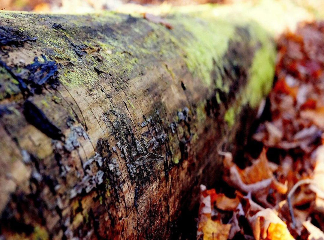 Best Ways to Exchange Your Ringgit for Rupiah (And What to Avoid)