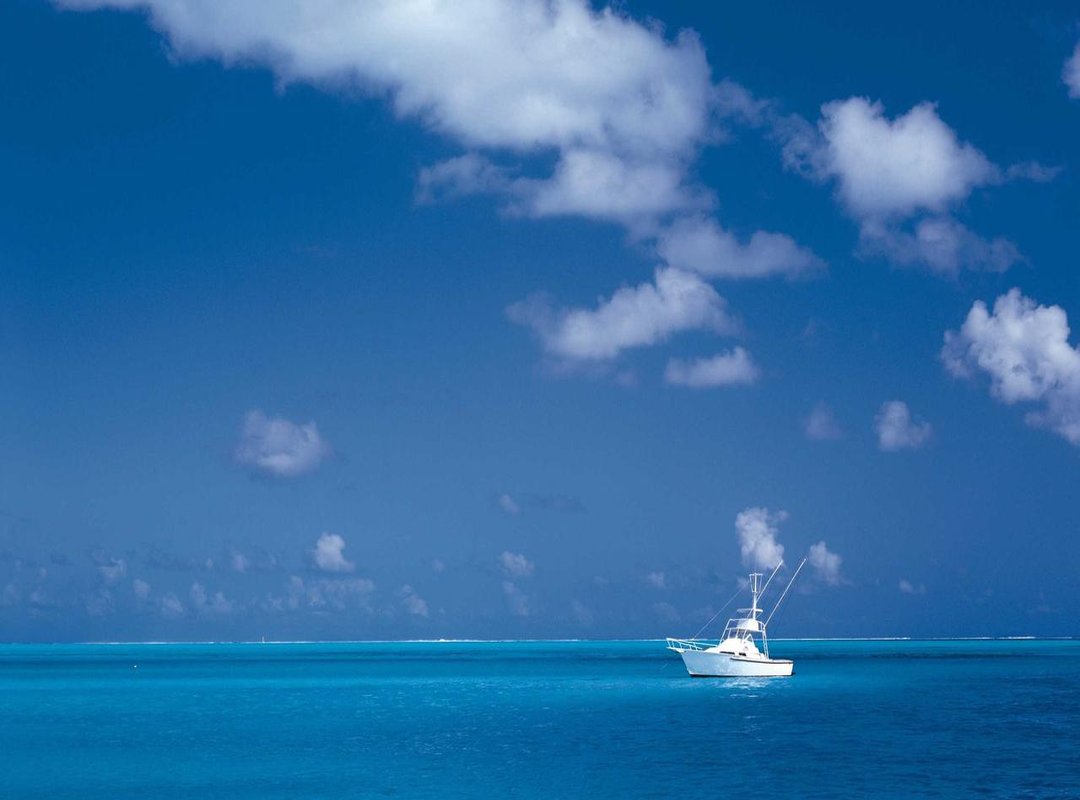 The Stars of the Show: Player Performances and Key Absences