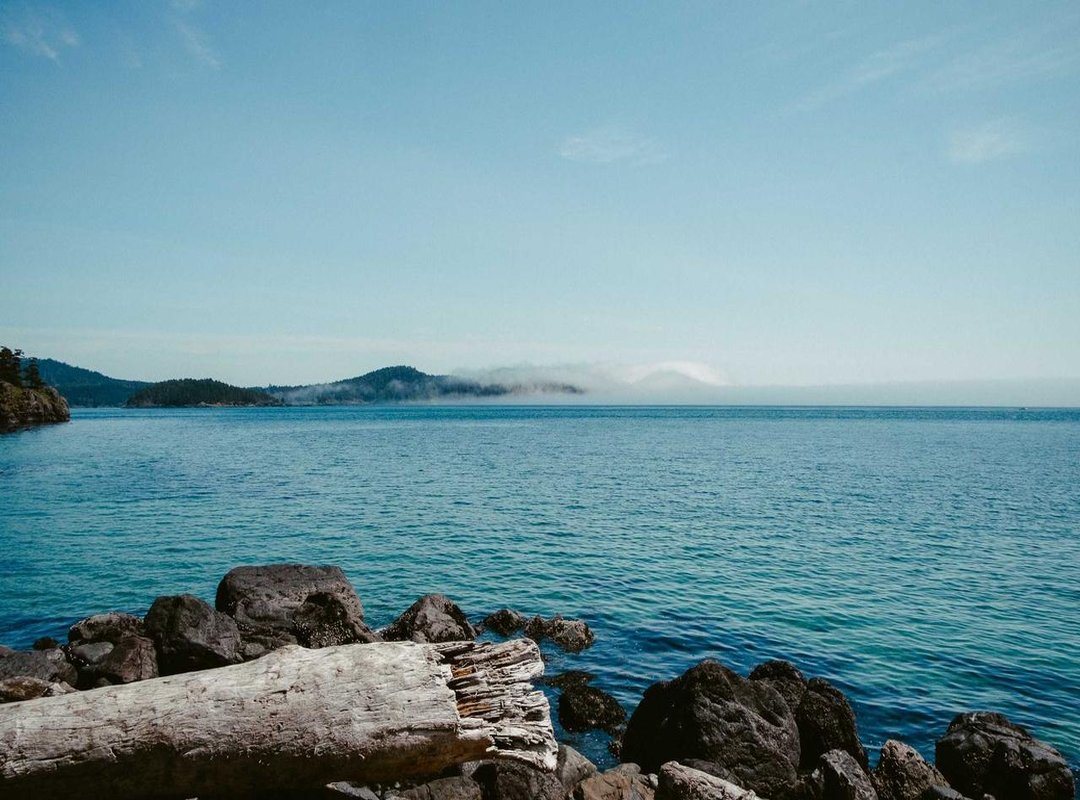 Getting Started: Your First Conversation in 4 Steps