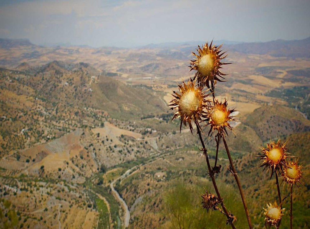 Safe Installation Guide: Get Up and Running in 3 Easy Steps