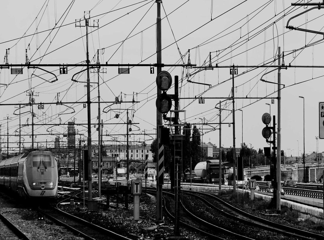 How to Share a GIF on Any Platform (WhatsApp, Instagram, and More)