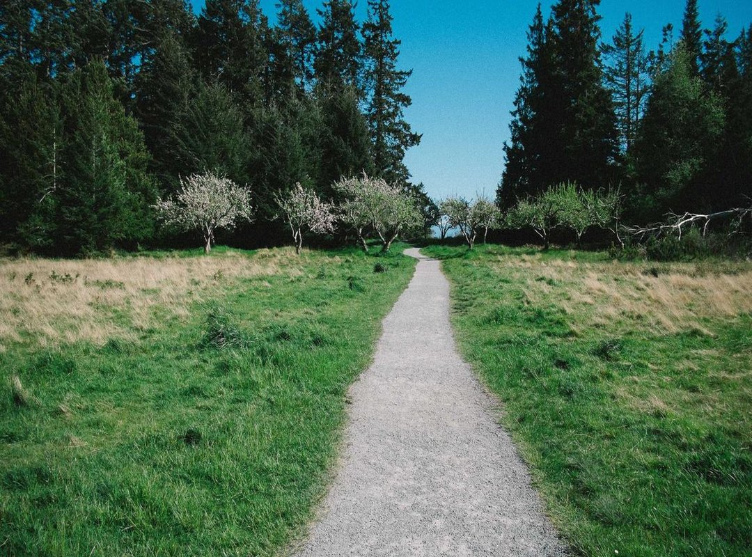 Answering Your Top Questions About the Platform