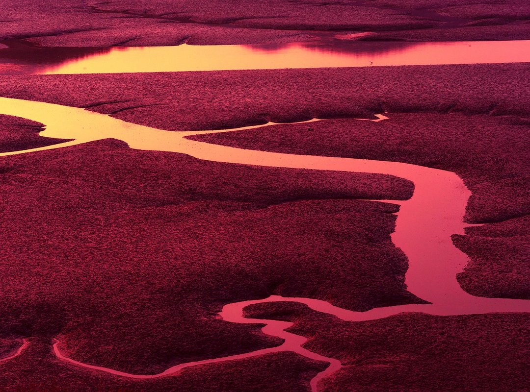 low tide twilight chapter 73