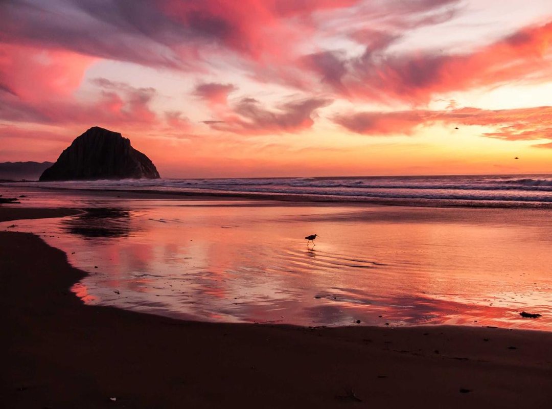 User Experience and Safety: What to Know Before You Read