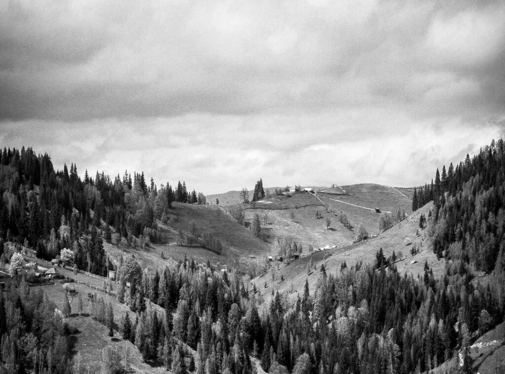 princess cute baby pic for whatsapp dp