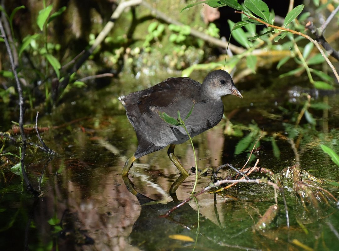 Top Genres and Where to Find Them Legally