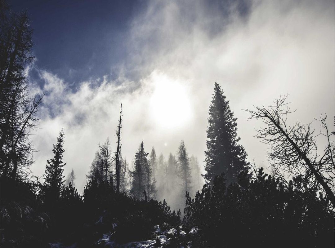 Comparisons: Key Features and Performance