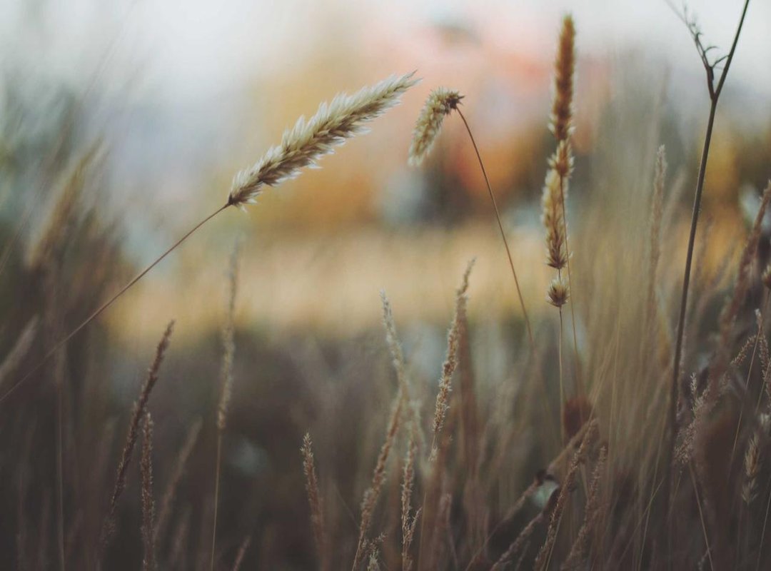 A Step-by-Step Guide to Placing Your First Eurax 100 Trade