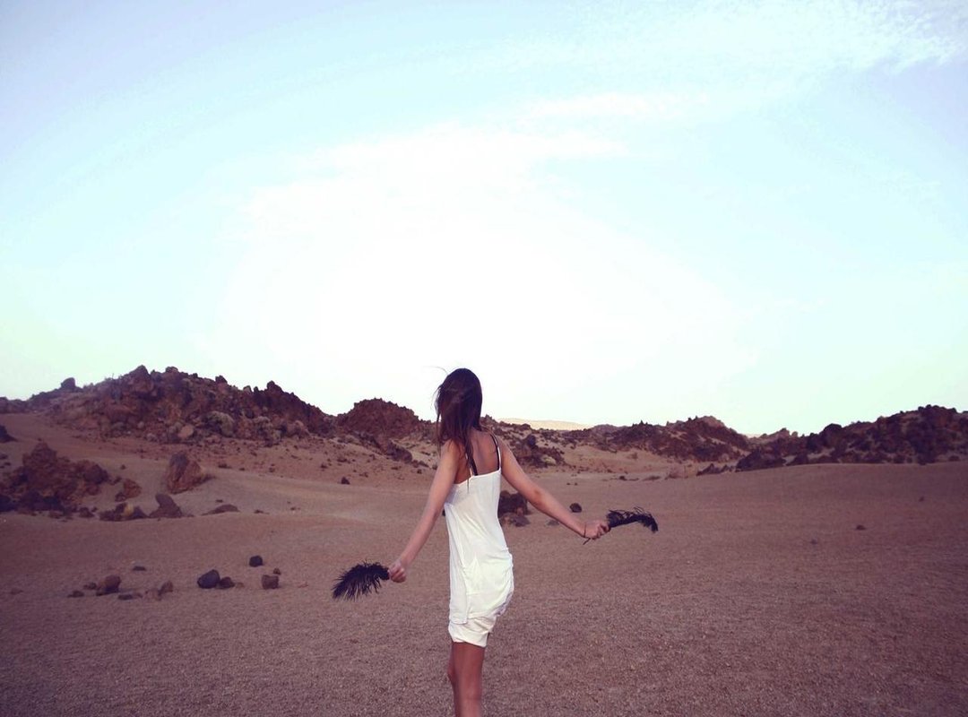 The Official Version: A Smarter Investment for Your PC