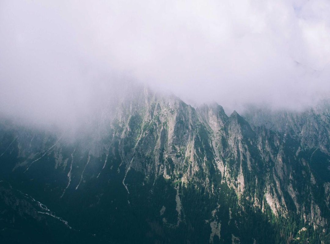 Key Details: What Has Been Made Public About the Divorce?