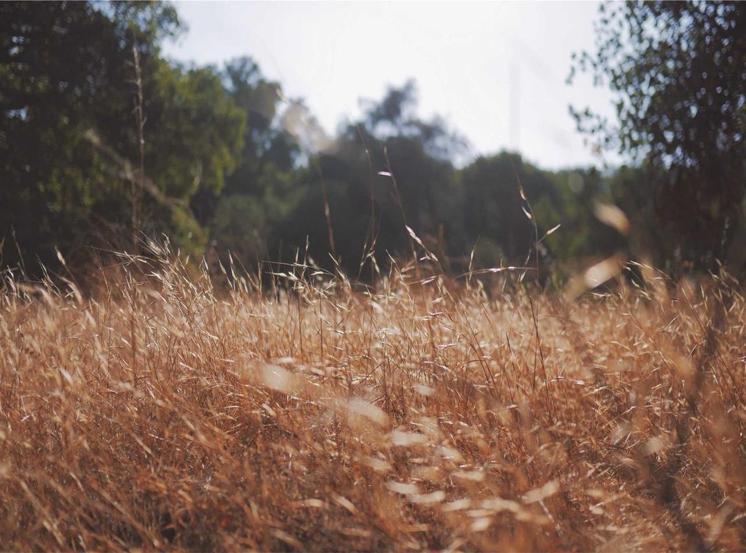 What Sets Our Method Apart: Why Choose This Approach