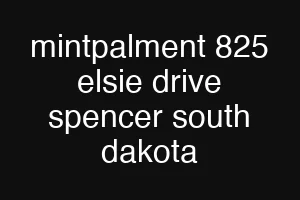 mintpalment 825 elsie drive spencer south dakota