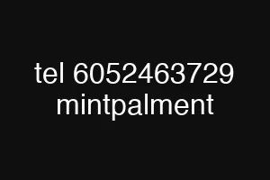 tel 6052463729 mintpalment