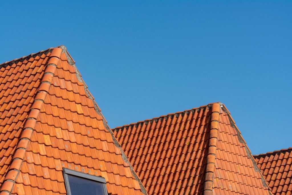 pexels jan van der wolf 11680885 29114658